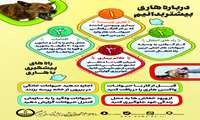 روز جهانی هاری ۲۰۲۵