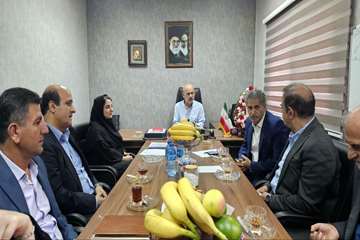 بازدبد