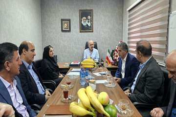 بازدید