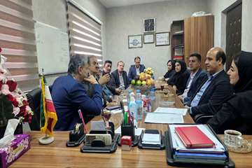 بازدید