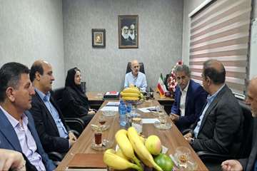 بازدید