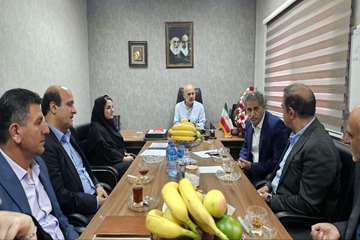 بازدید