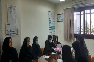 بازدید نظارتی 